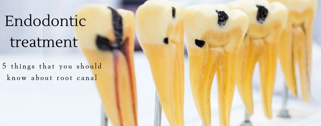 endodontic and root canal treatment
